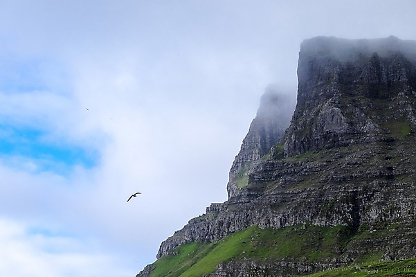 포토 JPG 주간 구름 한마리 해외풍경 자연 조류 하늘 산 풍경 사람없음 야외 안개 페로제도 보가르섬 국내포토 자연요소 동물 1 해외 섬 날씨 덴마크 생태계 파일형식