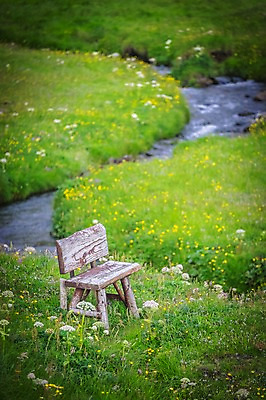 포토 JPG 주간 해외풍경 자연 풍경 초원 사람없음 야외 들꽃 개울 나무의자 미니의자 페로제도 보가르섬 국내포토 자연요소 해외 꽃 섬 의자 덴마크 목재 강 생태계 파일형식