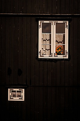 포토 JPG 주간 해외풍경 창문 자연 풍경 사람없음 야외 갈색 두개 나무집 페로제도 스트레이모이섬 국내포토 자연요소 해외 컬러 섬 2 주택 덴마크 생태계 파일형식