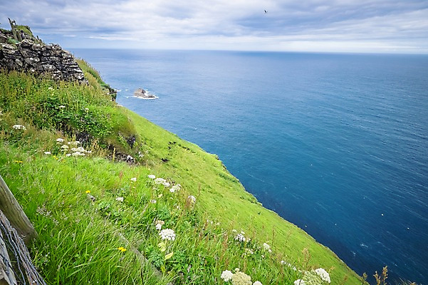 포토 JPG 주간 해외풍경 바다 자연 풍경 초원 사람없음 야외 맑음 들꽃 페로제도 미키네스섬 국내포토 자연요소 해외 꽃 섬 날씨 덴마크 생태계 파일형식