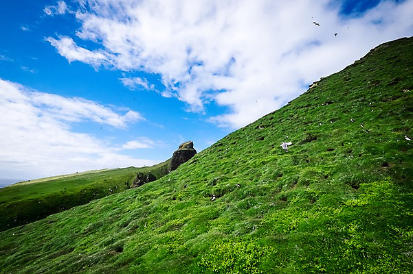포토 JPG 주간 구름 해외풍경 자연 하늘 풍경 초원 사람없음 야외 맑음 언덕 페로제도 미키네스섬 국내포토 자연요소 해외 섬 날씨 덴마크 생태계 파일형식