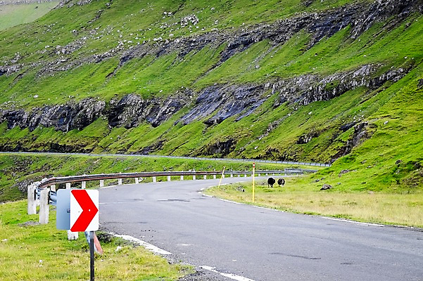 포토 JPG 주간 해외풍경 자연 풍경 사람없음 야외 커브길 아스팔트 언덕 도로표지판 포장도로 페로제도 스트레이모이섬 국내포토 자연요소 해외 도로 섬 덴마크 표지판 생태계 파일형식
