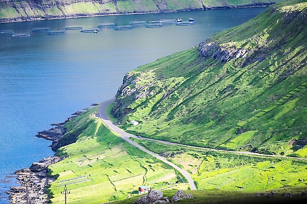 포토 JPG 주간 해외풍경 자연 풍경 사람없음 야외 물가 언덕 페로제도 이스터로이섬 국내포토 자연요소 해외 섬 덴마크 생태계 파일형식