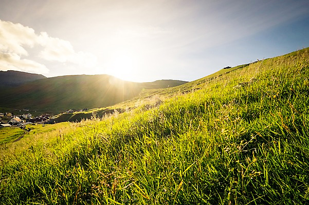 포토 JPG 주간 해외풍경 자연 풍경 잔디 초원 사람없음 야외 일몰 페로제도 이스터로이섬 국내포토 자연요소 식물 해외 섬 덴마크 노을 생태계 파일형식