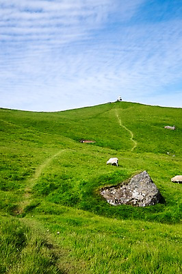 포토 JPG 주간 해외풍경 자연 하늘 풍경 초원 사람없음 야외 맑음 언덕 새털구름 언덕길 페로제도 보르도이섬 국내포토 자연요소 해외 길 섬 날씨 덴마크 생태계 파일형식 구름_자연