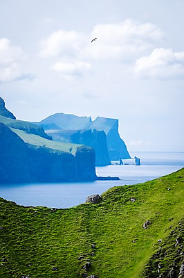 포토 JPG 주간 구름 한마리 해외풍경 자연 조류 하늘 풍경 사람없음 야외 안개 풀 바위섬 페로제도 보르도이섬 국내포토 자연요소 식물 동물 1 해외 섬 날씨 덴마크 생태계 파일형식