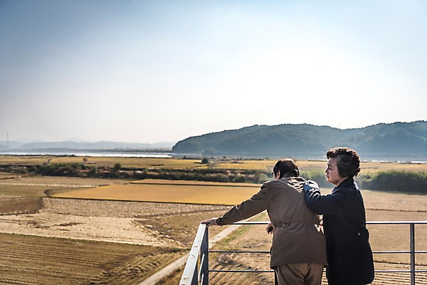 포토 JPG 주간 여자 할아버지 노년 남자 할머니 서기 풍경 상반신 야외 두명 옆모습 뒷모습 노부부 기댐 한국인 슬픔 70대 통일 노인만 임진각 실향민 국내포토 자연요소 부부 감정 뷰포인트 모션 사람 동양인 성인 파주 성인만 파일형식