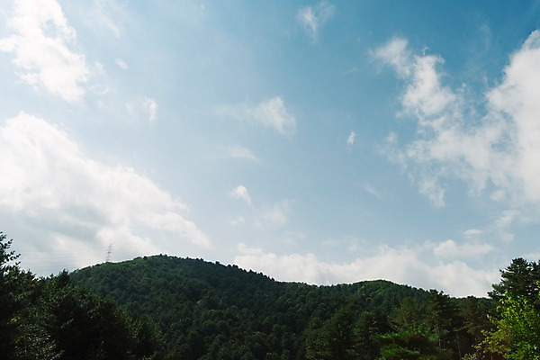 포토 JPG 주간 나무 구름 자연 하늘 산 풍경 사람없음 야외 국내포토 자연요소 식물 생태계 파일형식