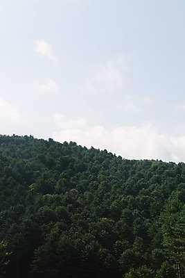 포토 JPG 주간 나무 하늘 산 풍경 사람없음 야외 국내포토 자연요소 식물 파일형식