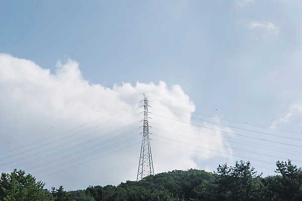 포토 JPG 주간 나무 구름 하늘 산 풍경 사람없음 야외 송전탑 국내포토 자연요소 식물 탑 파일형식