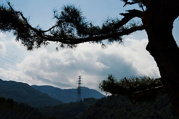 포토 JPG 주간 나무 구름 실루엣 하늘 산 풍경 사람없음 야외 송전탑 국내포토 자연요소 식물 촬영기법 탑 파일형식