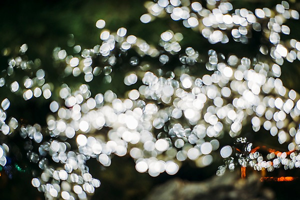 포토 JPG 백그라운드 조명 사람없음 야외 빛 야간 보케 감성 블러 국내포토 자연요소 컨셉 파일형식
