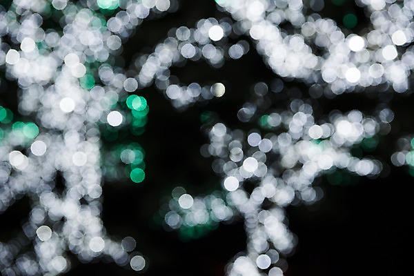 포토 JPG 백그라운드 조명 사람없음 야외 빛 야간 보케 감성 블러 국내포토 자연요소 컨셉 파일형식