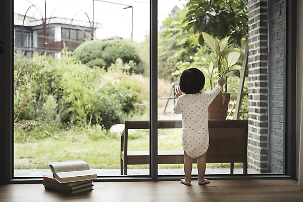 포토 JPG 전신 여자 어린이 창문 실내 한명 서기 뒷모습 책 정원 한국인 아기 여자아기한명만 국내포토 1 뷰포인트 모션 사람 동양인 내부 여자한명만 여자아기만 파일형식