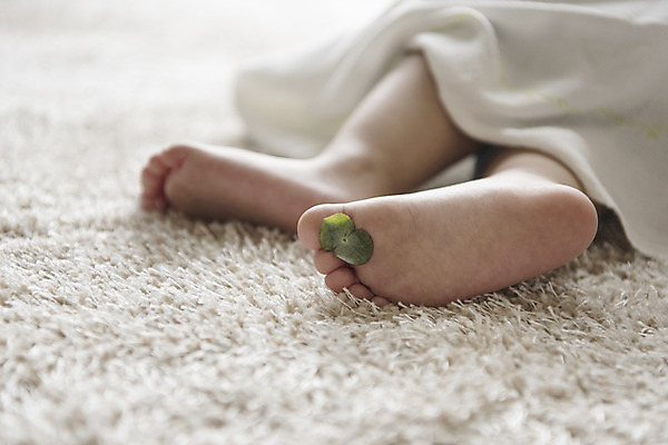 포토 JPG 여자 발 나뭇잎 실내 한명 신체부위 눕기 한국인 아기 잠 여자아기한명만 국내포토 1 잎 모션 사람 동양인 내부 여자한명만 여자아기만 파일형식