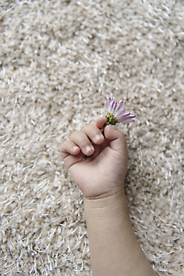 포토 JPG 손 여자 꽃 실내 한명 신체부위 눕기 한국인 아기 잡기 오른손 여자아기한명만 국내포토 식물 1 모션 사람 동양인 내부 여자한명만 여자아기만 파일형식