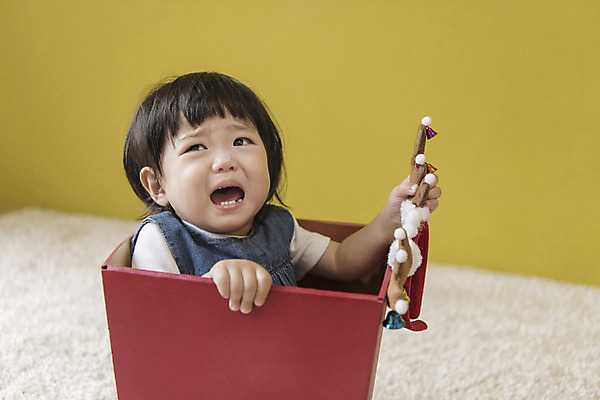 포토 JPG 여자 크리스마스 실내 한명 들기 앉기 상반신 앞모습 선물상자 한국인 아기 울음 들어가기 루돌프머리띠 여자아기한명만 국내포토 1 기념일 뷰포인트 모션 표정 선물 사람 동양인 내부 상자 머리띠 여자한명만 여자아기만 파일형식