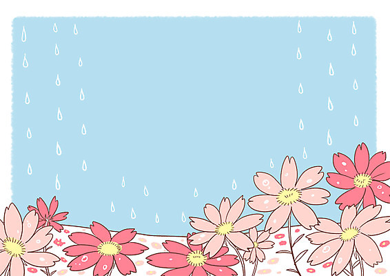 PSD 꽃밭 일러스트 사람없음 가을 비 코스모스 국내일러스트 자연요소 계절 꽃 날씨 파일형식