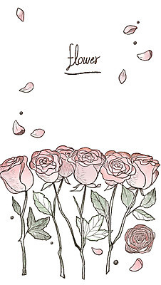 PSD 꽃잎 여러송이 일러스트 사람없음 장미 감성 아이템 국내일러스트 꽃 다수 컨셉 파일형식