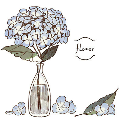 PSD 꽃잎 일러스트 나뭇잎 사람없음 꽃병 감성 수국 아이템 국내일러스트 꽃 컨셉 잎 파일형식