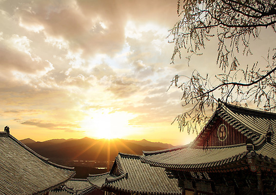 PSD 나무 구름 편집 편집이미지 명절 한국건축 하늘 지붕 한옥 기와 기와집 사람없음 햇빛 노을 이미지편집 자연요소 식물 한국전통 전통 기념일 건축 고건축 태양 파일형식