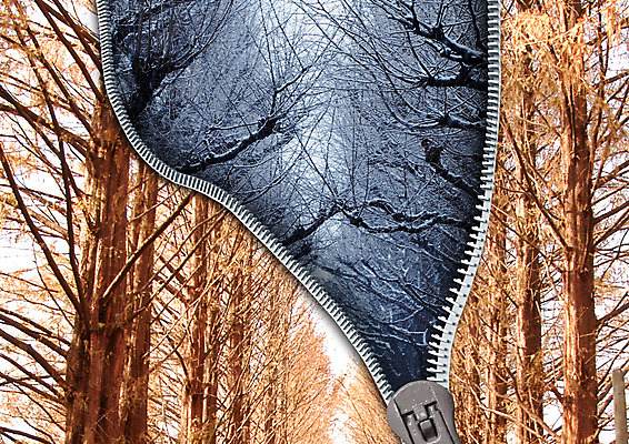 PSD 나무 편집 편집이미지 겨울 자연 사람없음 눈 가로수 지퍼 이미지편집 자연요소 식물 계절 날씨 생태계 파일형식