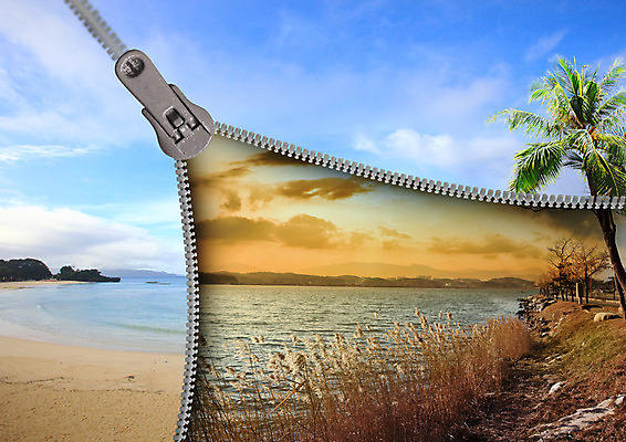 PSD 구름 편집 편집이미지 자연 하늘 갈대 해변 사람없음 강 야자수 지퍼 트로피컬아트 이미지편집 자연요소 나무 식물 바다 그림 생태계 파일형식