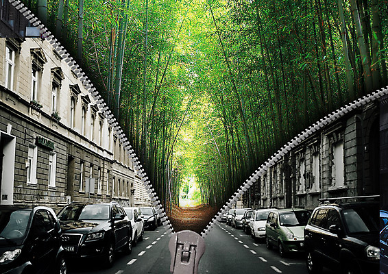 PSD 편집 편집이미지 도로 자동차 자연 사람없음 도시 숲 대나무 지퍼 대나무숲 이미지편집 나무 길 육상교통 교통시설 생태계 파일형식