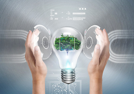 PSD 나무 편집 편집이미지 손 전구 신체부위 자연보호 환경 디지털 그린캠페인 이미지편집 식물 캠페인 자연 사람 보호 파일형식