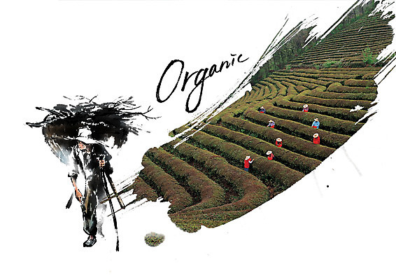 PSD 편집 편집이미지 직업 여자 남자 캘리그라피 여러명 성인 농사 수확 농부 유기농 지게 차밭 이미지편집 웰빙 다수 밭 농업 사람 파일형식