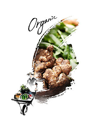 PSD 편집 편집이미지 남자 음식 캘리그라피 호박 수박 한명 성인 농사 수레 농부 유기농 밀짚모자 생강 이미지편집 직업 모자_잡화 1 웰빙 농업 채소 과일 사람 카트 파일형식