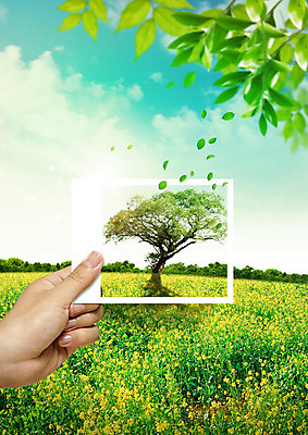 PSD 나무 구름 편집 편집이미지 손 꽃 꽃밭 자연 하늘 나뭇잎 들기 신체부위 봄 유채 폴라로이드사진 흩날리기 이미지편집 자연요소 식물 계절 잎 모션 사람 생태계 폴라로이드 파일형식