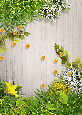 PSD 편집 편집이미지 꽃 자연 나뭇잎 사람없음 봄 이미지편집 식물 계절 잎 생태계 파일형식