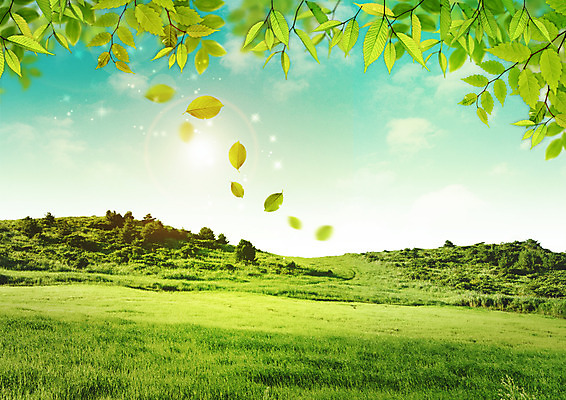 PSD 나무 구름 편집 편집이미지 자연 하늘 나뭇잎 잔디 사람없음 봄 흩날리기 이미지편집 자연요소 식물 계절 잎 모션 생태계 파일형식