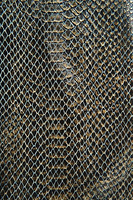 포토 JPG 백그라운드 무늬 재질 근접촬영 사람없음 검은색 금색 직물 가죽 질감 악어가죽 국내포토 뷰포인트 컬러 파일형식