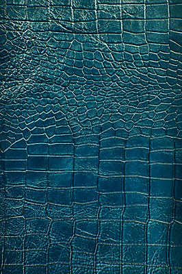 포토 JPG 백그라운드 무늬 재질 근접촬영 사람없음 파란색 직물 가죽 질감 악어가죽 국내포토 뷰포인트 컬러 파일형식