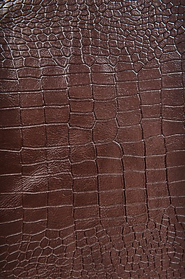 포토 JPG 백그라운드 무늬 재질 근접촬영 사람없음 갈색 직물 가죽 질감 악어가죽 국내포토 뷰포인트 컬러 파일형식