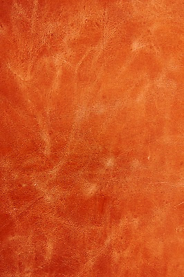 포토 JPG 백그라운드 재질 근접촬영 사람없음 주황색 직물 가죽 질감 국내포토 뷰포인트 컬러 파일형식