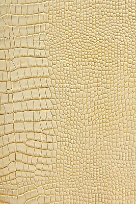 포토 JPG 백그라운드 무늬 재질 근접촬영 사람없음 노란색 직물 가죽 질감 악어가죽 국내포토 뷰포인트 컬러 파일형식