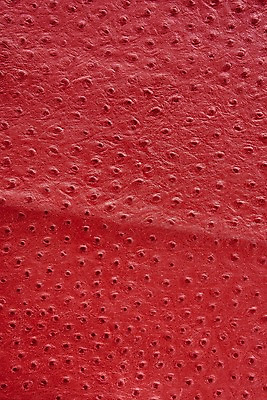 포토 JPG 백그라운드 무늬 재질 근접촬영 사람없음 빨간색 직물 가죽 질감 악어가죽 국내포토 뷰포인트 컬러 파일형식