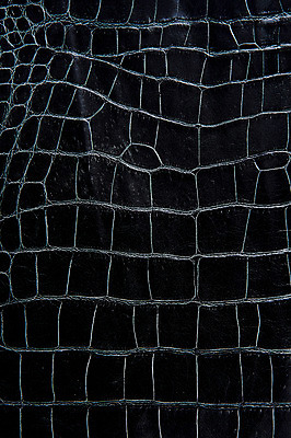 포토 JPG 백그라운드 무늬 재질 근접촬영 사람없음 검은색 직물 가죽 질감 악어가죽 국내포토 뷰포인트 컬러 파일형식