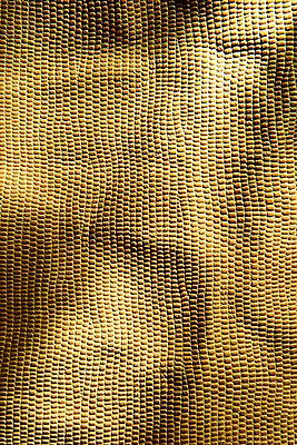 포토 JPG 백그라운드 무늬 재질 근접촬영 사람없음 노란색 직물 가죽 질감 구김 국내포토 뷰포인트 컬러 모션 파일형식