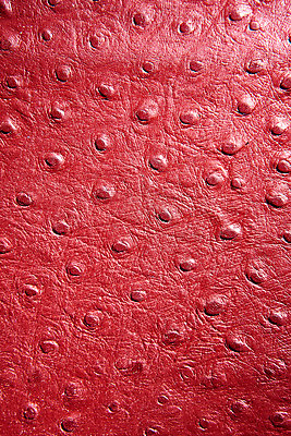 포토 JPG 백그라운드 무늬 재질 근접촬영 사람없음 빨간색 직물 가죽 질감 악어가죽 국내포토 뷰포인트 컬러 파일형식