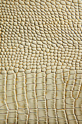 포토 JPG 백그라운드 무늬 재질 근접촬영 사람없음 직물 가죽 질감 베이지색 악어가죽 국내포토 뷰포인트 컬러 파일형식