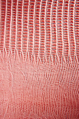 포토 JPG 백그라운드 무늬 재질 근접촬영 사람없음 빨간색 직물 가죽 질감 악어가죽 국내포토 뷰포인트 컬러 파일형식