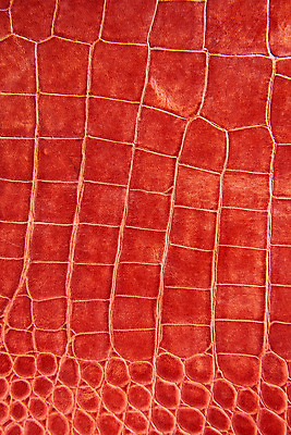 포토 JPG 백그라운드 무늬 재질 근접촬영 사람없음 빨간색 직물 가죽 질감 악어가죽 국내포토 뷰포인트 컬러 파일형식