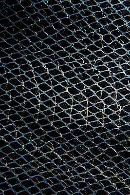 포토 JPG 백그라운드 무늬 재질 근접촬영 사람없음 파란색 검은색 직물 가죽 질감 악어가죽 국내포토 뷰포인트 컬러 파일형식