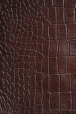 포토 JPG 백그라운드 무늬 재질 근접촬영 사람없음 갈색 직물 가죽 질감 악어가죽 국내포토 뷰포인트 컬러 파일형식