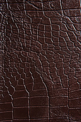 포토 JPG 백그라운드 무늬 재질 근접촬영 사람없음 갈색 직물 가죽 질감 악어가죽 국내포토 뷰포인트 컬러 파일형식