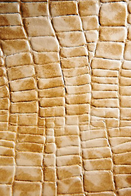 포토 JPG 백그라운드 무늬 재질 근접촬영 사람없음 직물 가죽 질감 베이지색 악어가죽 국내포토 뷰포인트 컬러 파일형식